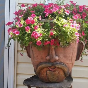 Meet your Posher, Connie